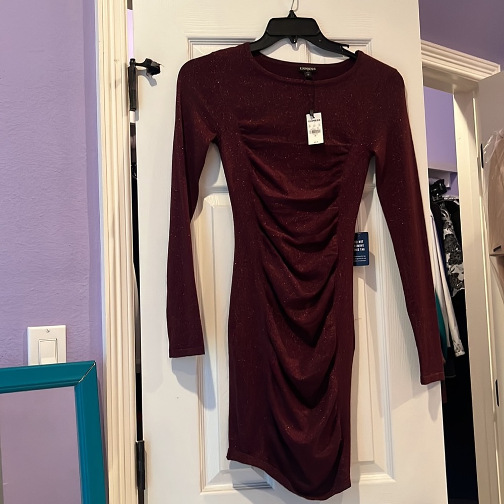 Express- MAROON SKIN TIGHT LONG SLEEVE DRESS